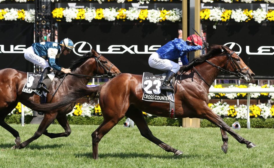 Cross Counter wins the 2018 Melbourne Cup from Marmelo and Prince Of Arran - Review